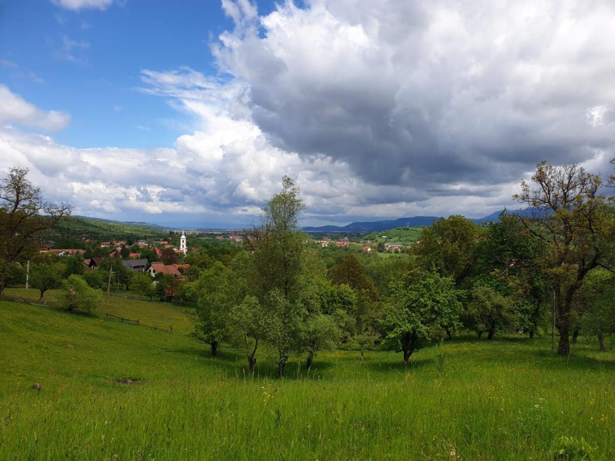 Pensiunea Padina Бран Екстер'єр фото